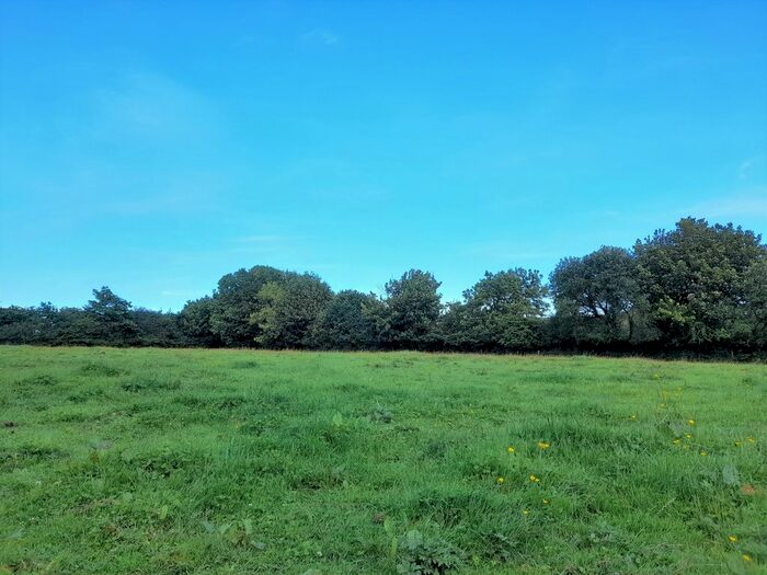 Land For Sale In Buckland-In-The-Moor, Ashburton, Newton Abbot, TQ13