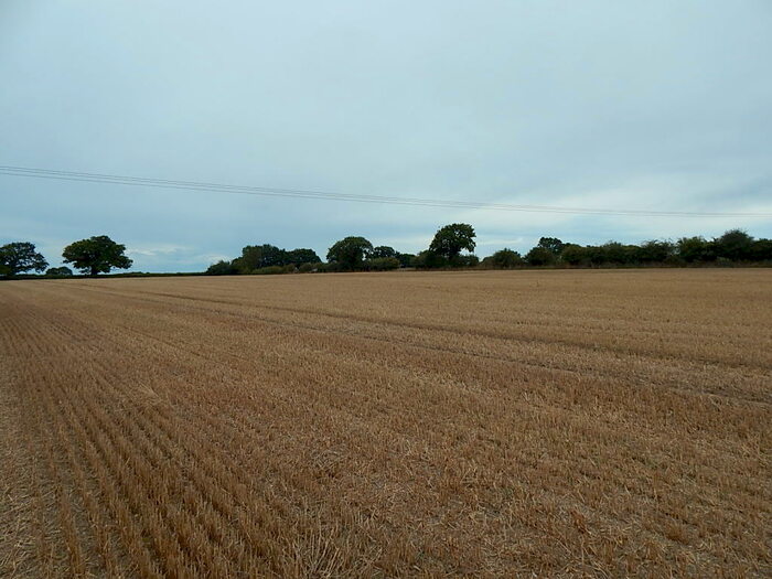 Land For Sale In Land Off New Road, Baconsthorpe, Holt, Norfolk, NR25
