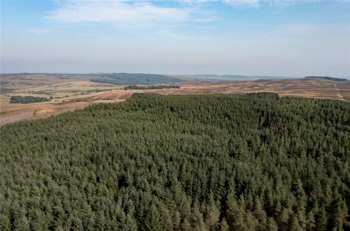 Land For Sale In Rimside Forest, Alnwick, Northumberland, NE66