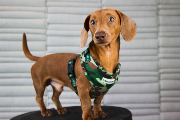 1 Bedroom Flat To Rent In Angel Gardens, Manchester, M4