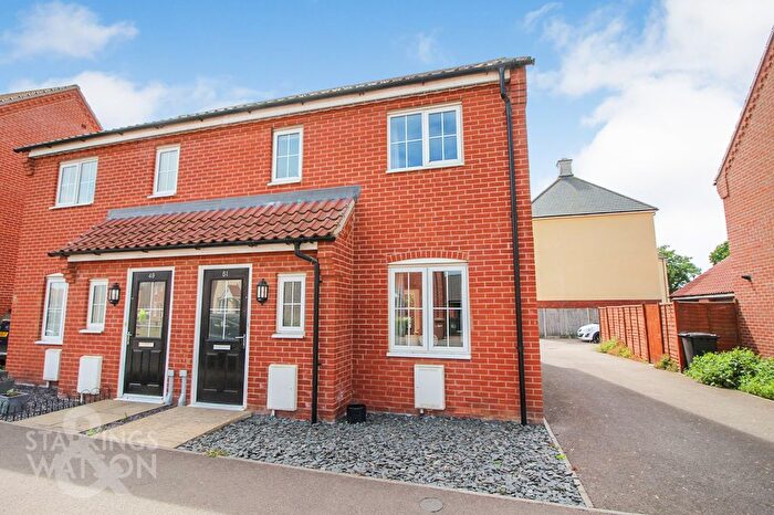 3 Bedroom Semi-Detached House To Rent In Albini Way, Wymondham, NR18