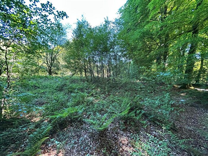 Land For Sale In Colyton, EX24