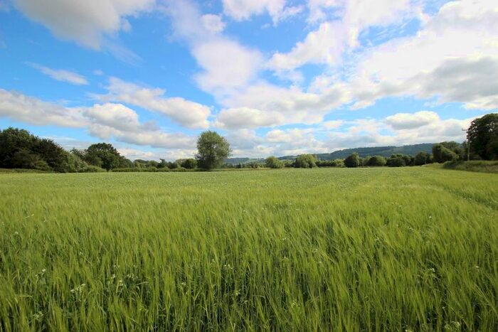 Farm For Sale In Letton, Hereford, HR3