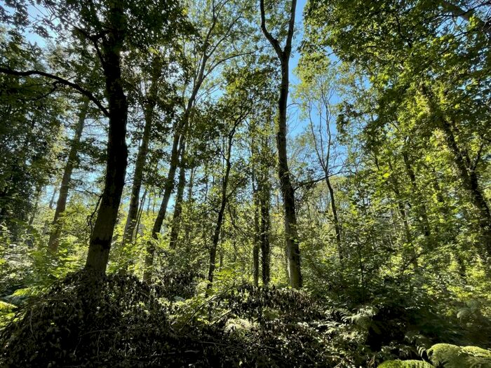 Land For Sale In Teffont, Salisbury, SP3