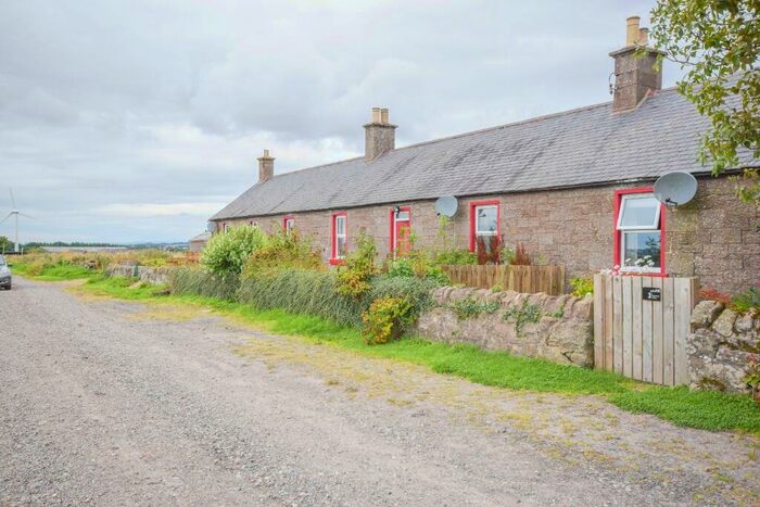 2 Bedroom Semi-Detached House To Rent In Whitefield Of Dun, Montrose, Angus, DD10