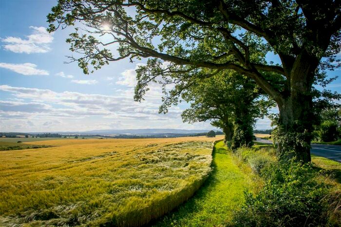 2 Bedroom Detached Bungalow For Sale In Plot, Park View, Guildtown, Perthshire, PH1