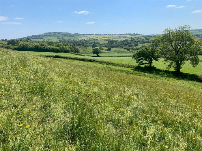 Land For Sale In Broadwindsor, Beaminster, Dorset, DT8