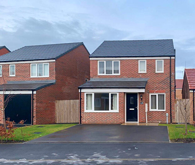 3 Bedroom Detached House For Sale In Shearwater Drive, North Sea Manor, Amble, Northumberland, NE65