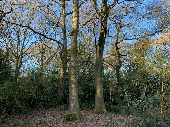 Land For Sale In Holnest, Sherborne, Dorset, DT9