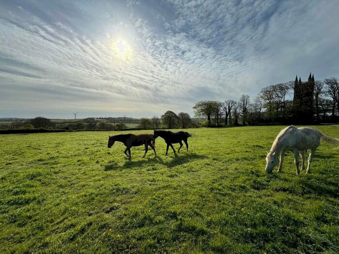 Land For Sale In Holsworthy, Devon, EX22