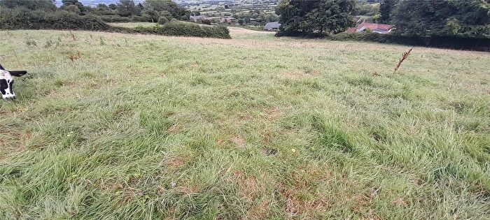 Equestrian Property For Sale In Glastonbury, Somerset, BA6