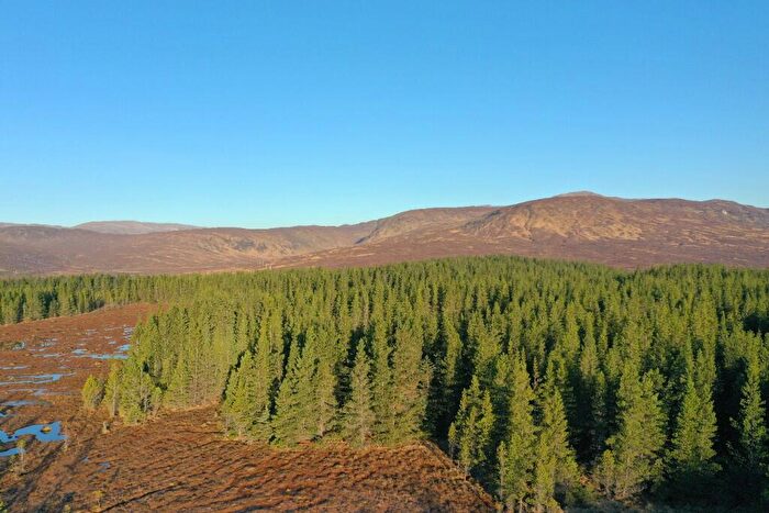 Land For Sale In Ghriama Wood, Lairg, Sutherland, IV27
