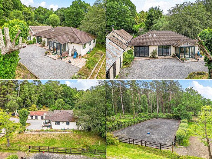 6 Bedroom Equestrian Property For Sale In New Forest Near Ringwood, Hampshire, BH24