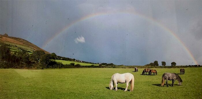 Property For Sale In Dinas Cross, Newport, SA42