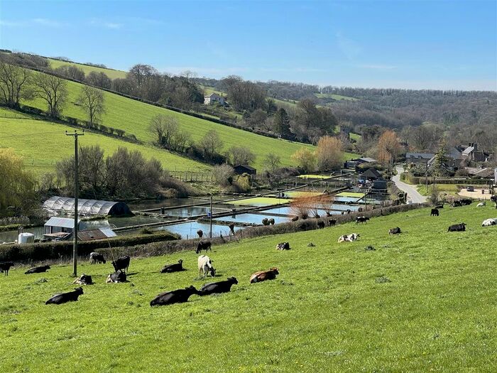 3 Bedroom Farm For Sale In Winterborne Houghton, Blandford Forum, Dorset, DT11