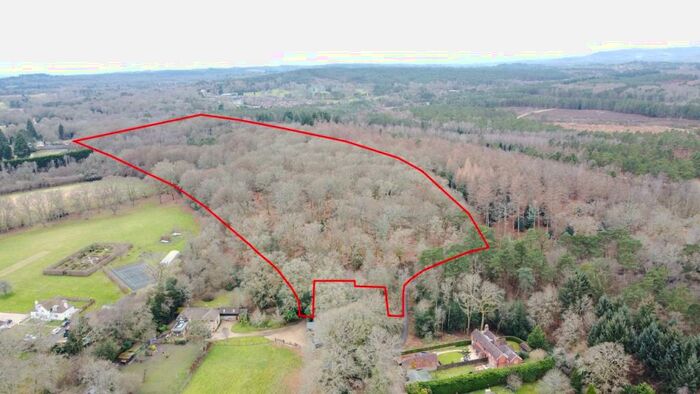 Land For Sale In Holm Hills Woodland, Conford, Liphook, East Hampshire, GU30