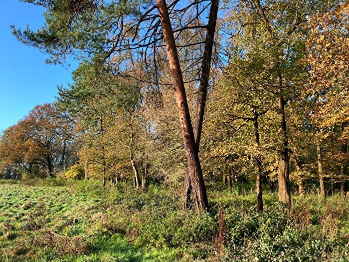 Property For Sale In Dark Lane, Tidmarsh, Pangbourne, Reading, RG8