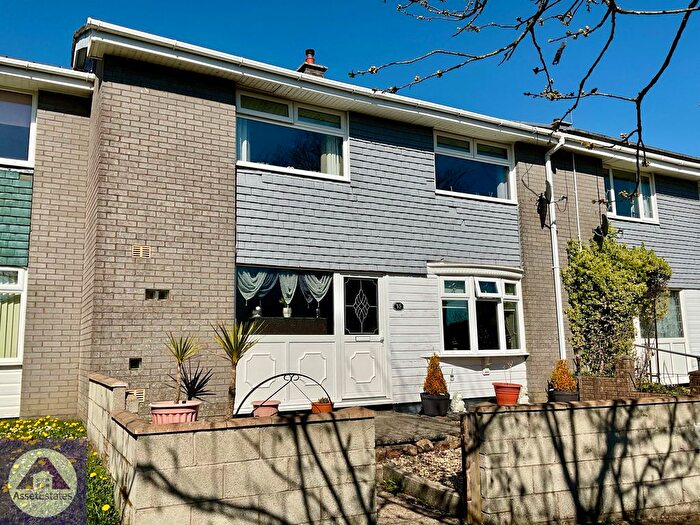 3 Bedroom Terraced House For Sale In Cwmcelyn Newydd, Blaina, Abertillery, NP13