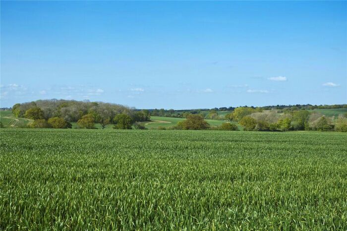 Land For Sale In Cooks Farm & Flats Farm, Stanningfield, Bury St. Edmunds, Suffolk, IP29