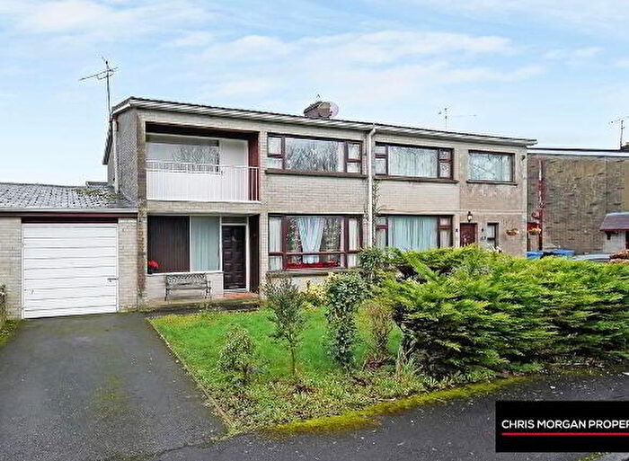 3 Bedroom Semi-Detached House For Sale In Belvedere Park, Dungannon, BT71