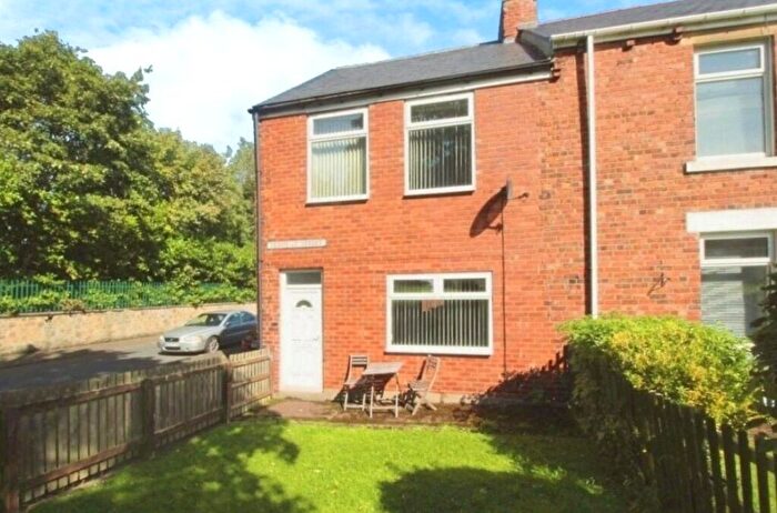 3 Bedroom End Of Terrace House For Sale In Derwent Street, Stanley, County Durham, DH9