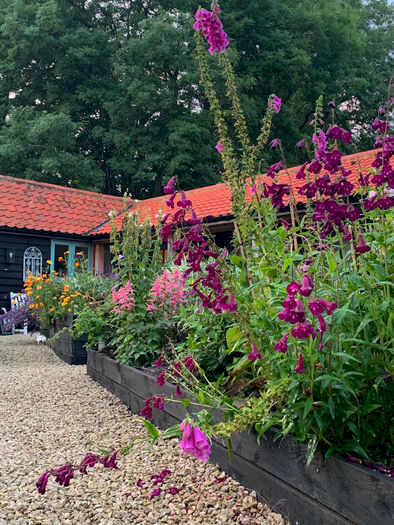 1 Bedroom Detached Bungalow To Rent In Wortham, IP22