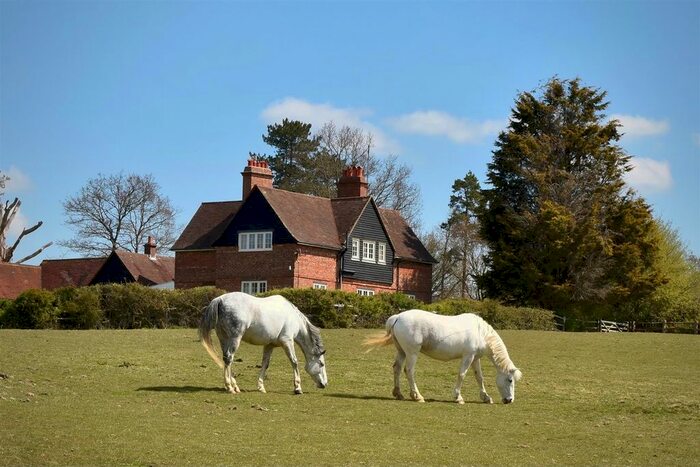 4 Bedroom Detached House To Rent In Peasmarsh, Rye, TN31