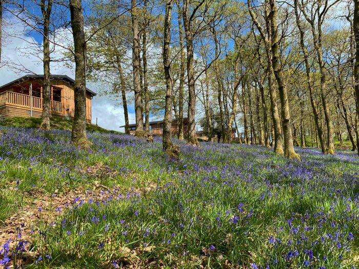 2 Bedroom Lodge For Sale In Glan-Y-Nant, Llanidloes, SY18