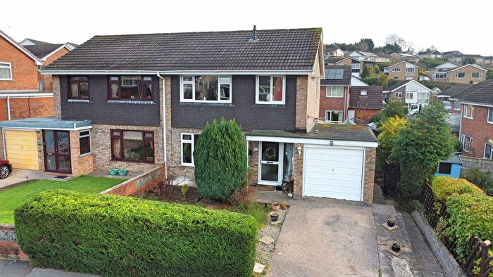 3 Bedroom Semi-Detached House For Sale In Brynglas Close, Newtown, Powys, SY16