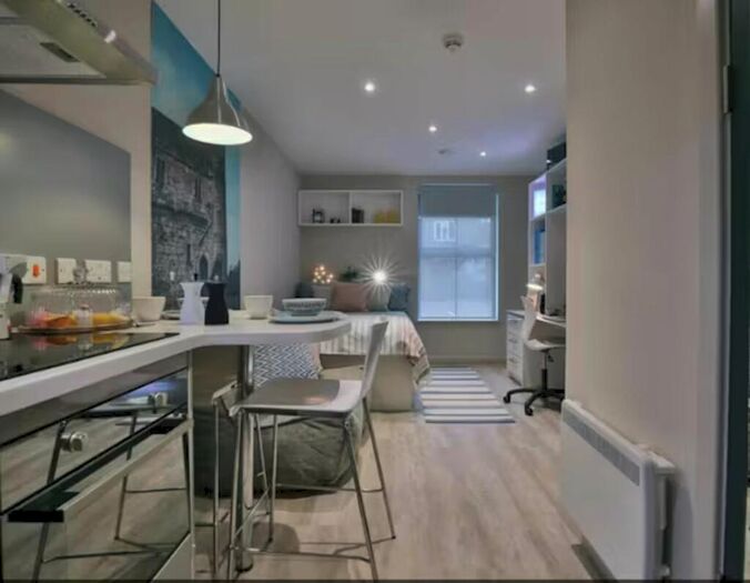 1 Bedroom Flat To Rent In Princess Road East, Leicester, LE1