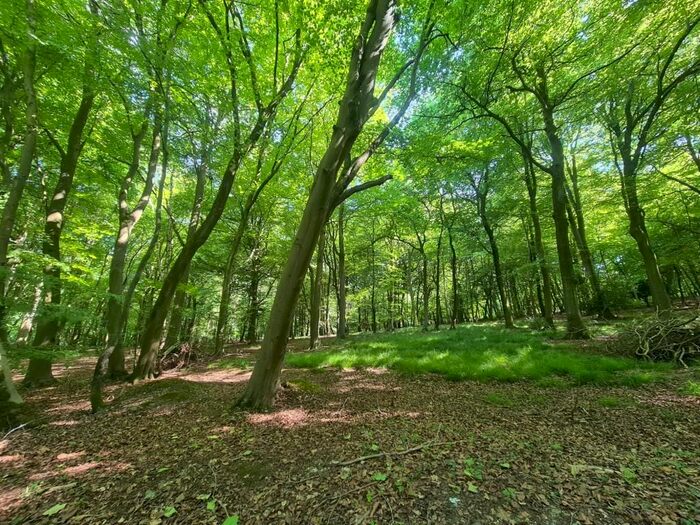 Land For Sale In Nottwood, Henley-On-Thame, RG9