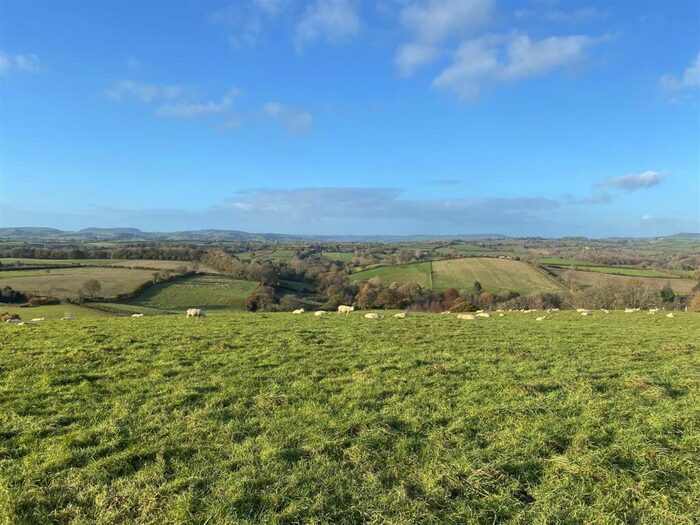 Land For Sale In Melplash, Bridport, DT6