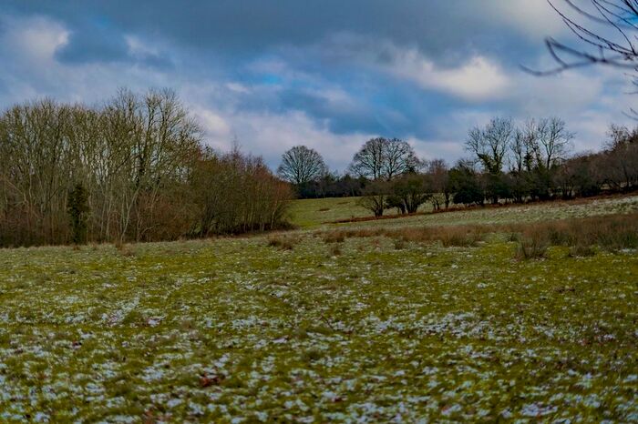 Land For Sale In Lye Green, Crowborough, East Sussex, TN6