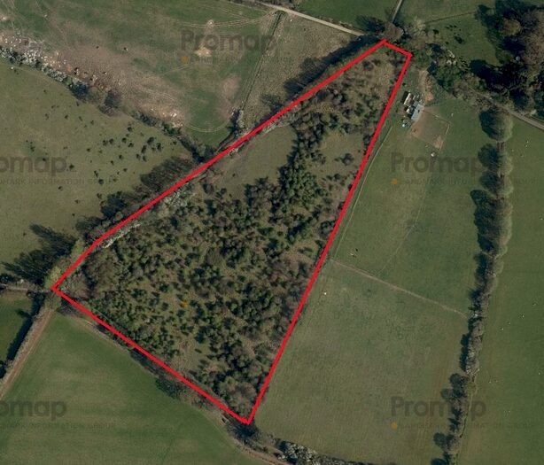 Land For Sale In Windy Lane, Saxingham Thorpe, NR15