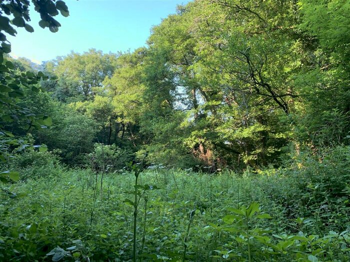 Land For Sale In Tedburn St. Mary, Exeter, EX6