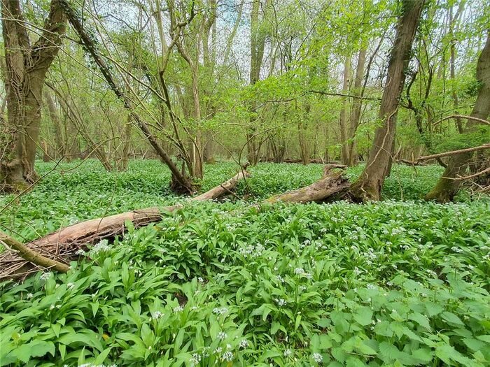 Land For Sale In Blackham, Tunbridge Wells, East Sussex, TN3