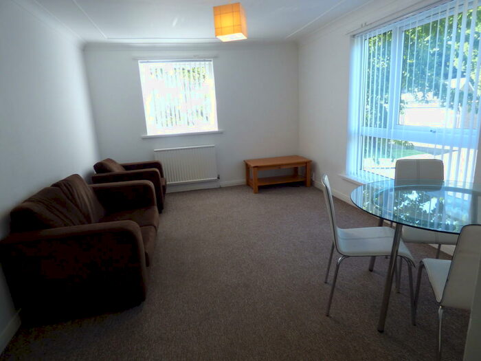 2 Bedroom Flat To Rent In Broad Ash, Sandyford, NE2