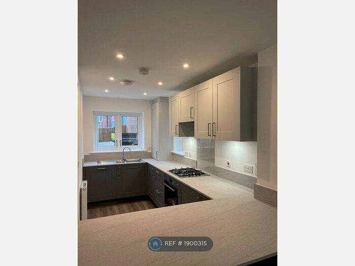 3 Bedroom Semi-Detached House To Rent In Ernest Webb Drive, Springfield, Chelmsford, CM1