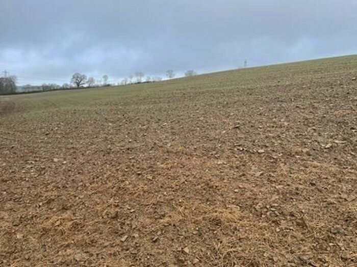 Land For Sale In Bishops Nympton, South Molton, EX36