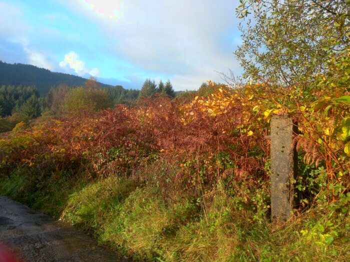 Land For Sale In Heol Gelli Lenor, Maesteg, CF34