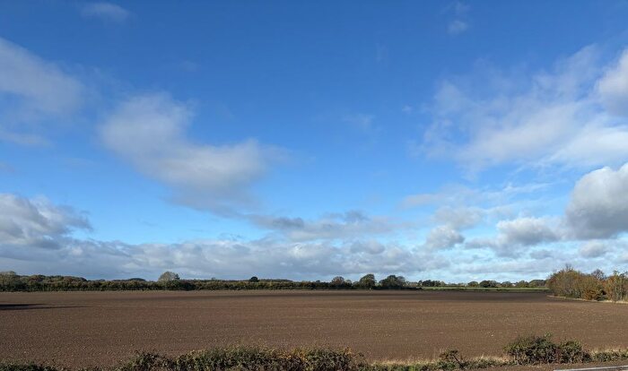 5 Bedroom Detached House For Sale In "Lamberton" At Moor Lane, Copmanthorpe, York, YO23