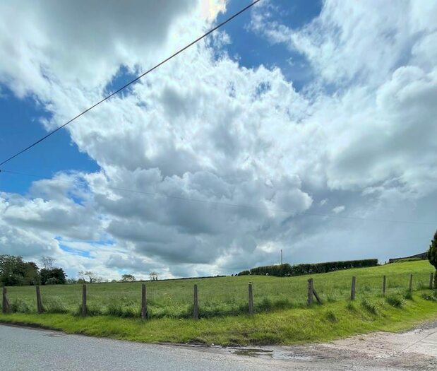 Land For Sale In Gortnagola Road, Dungannon, BT70