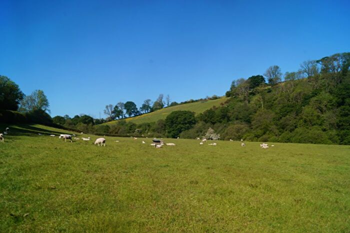 Land For Sale In Cynwyl Elfed, Carmarthen, SA33
