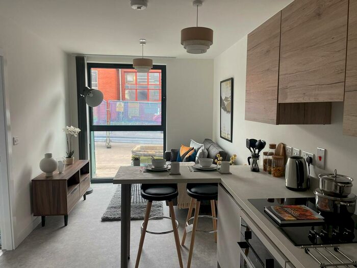 1 Bedroom Apartment To Rent In Birtin Works, Henry St, S3