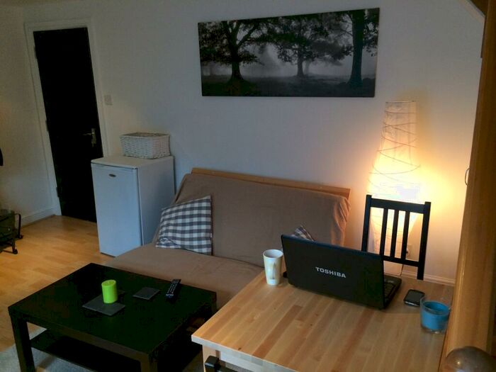 1 Bedroom Flat To Rent In Forest Road, Walthamstow, E17