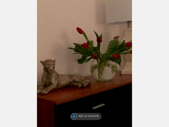 2 Bedroom Flat To Rent In Argyle Square, Sunderland, SR2