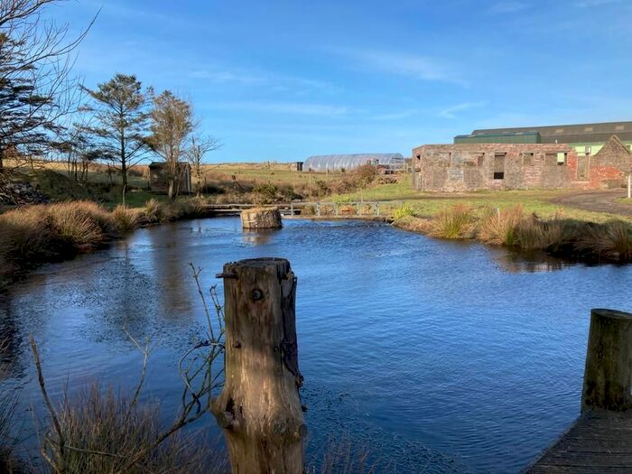 Land For Sale In Portpatrick, Stranraer DG9