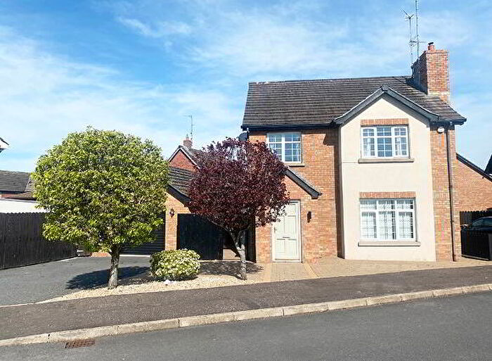 3 Bedroom Detached House With Garages For Sale In Roes Hill, Banbridge, BT63