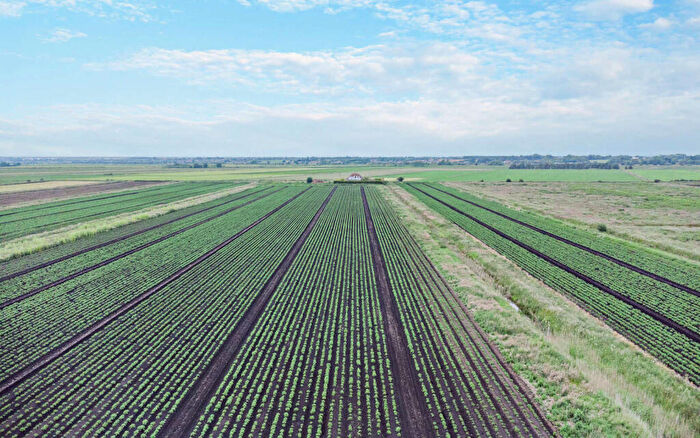 Land For Sale In Branston Booth, Middle Fen Lane, Washingborough, Lincoln, LN4