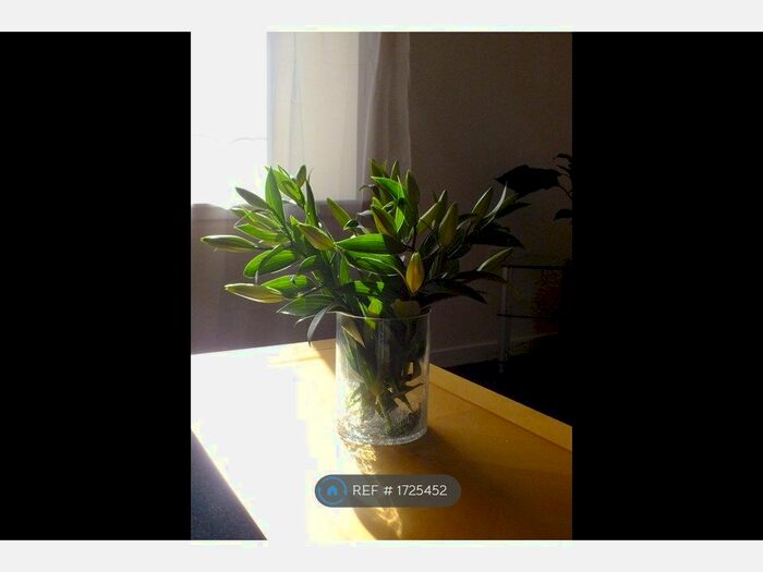 1 Bedroom Flat To Rent In John Knox Court, Aberdeen, AB24